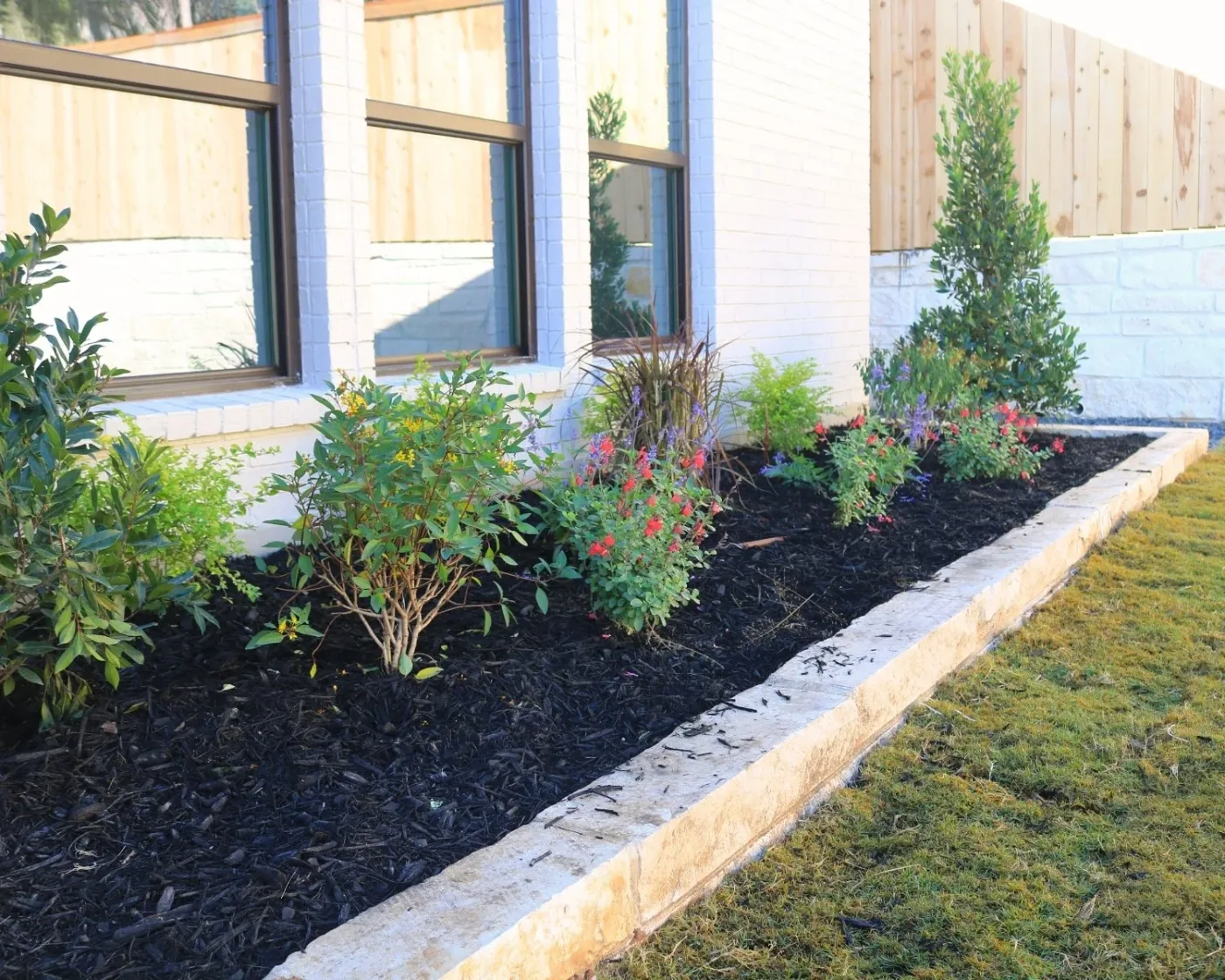 A mulched foundation bed edged in limestone, planted with shrubs and red and purple flowering perennials