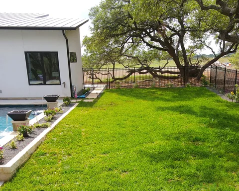 A green backyard lawn beside a white home and pool, with a sprawling live oak behind a black metal fence