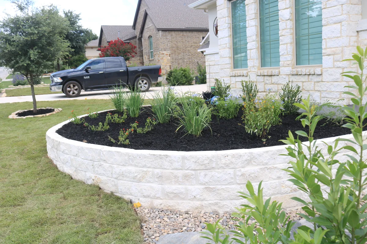A planted bed edged in cut limestone on a Bulverde property, set in dark mulch over caliche