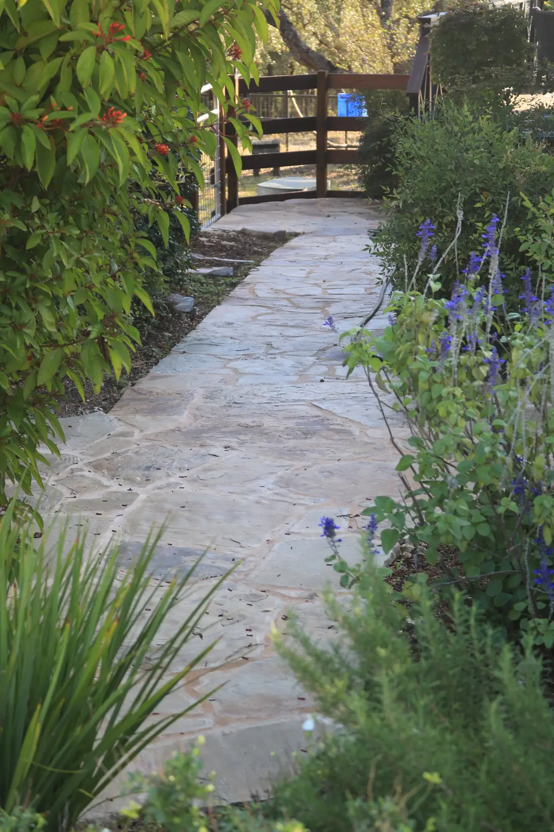 A dry stacked limestone wall with planting spilling over the top