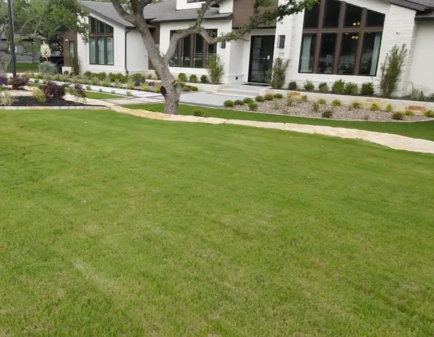A dense, evenly irrigated green lawn in front of a modern Hill Country home
