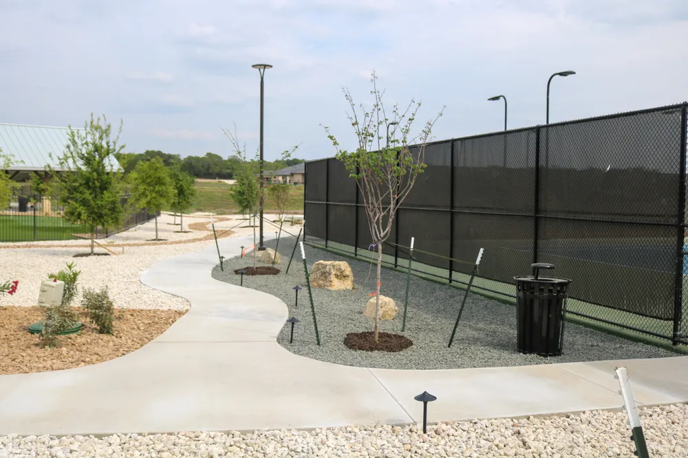 Granite path past a young tree ringed in gravel, with light poles along the route