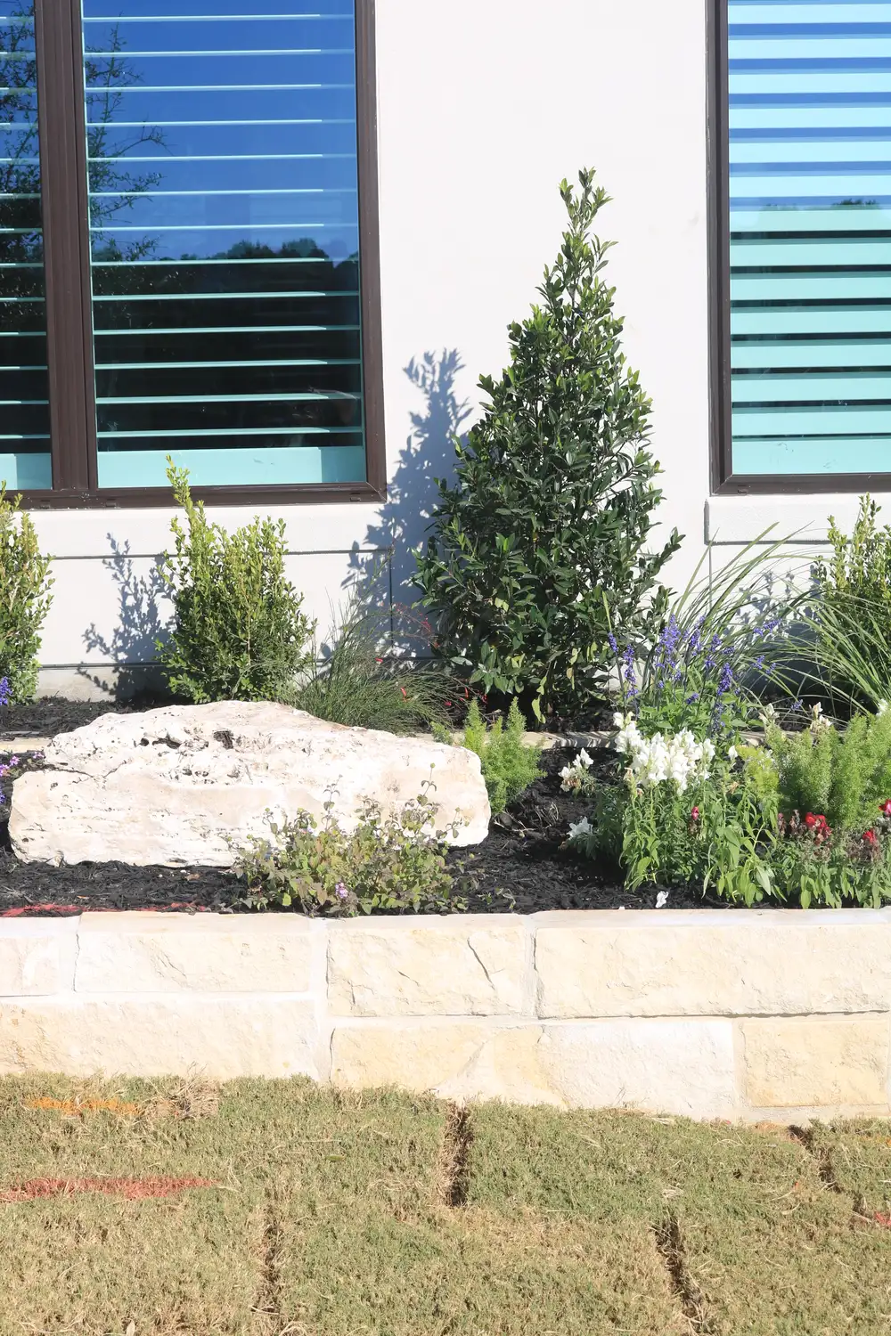 A limestone boulder and evergreen shrub set against a white rendered wall
